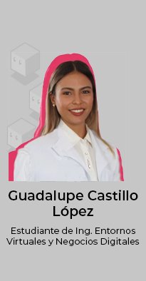 Guadalupe Castillo López